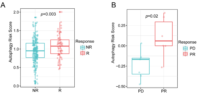 1745826103154226.png 3.png