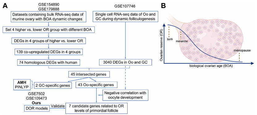 1745826715168759.png 22.png