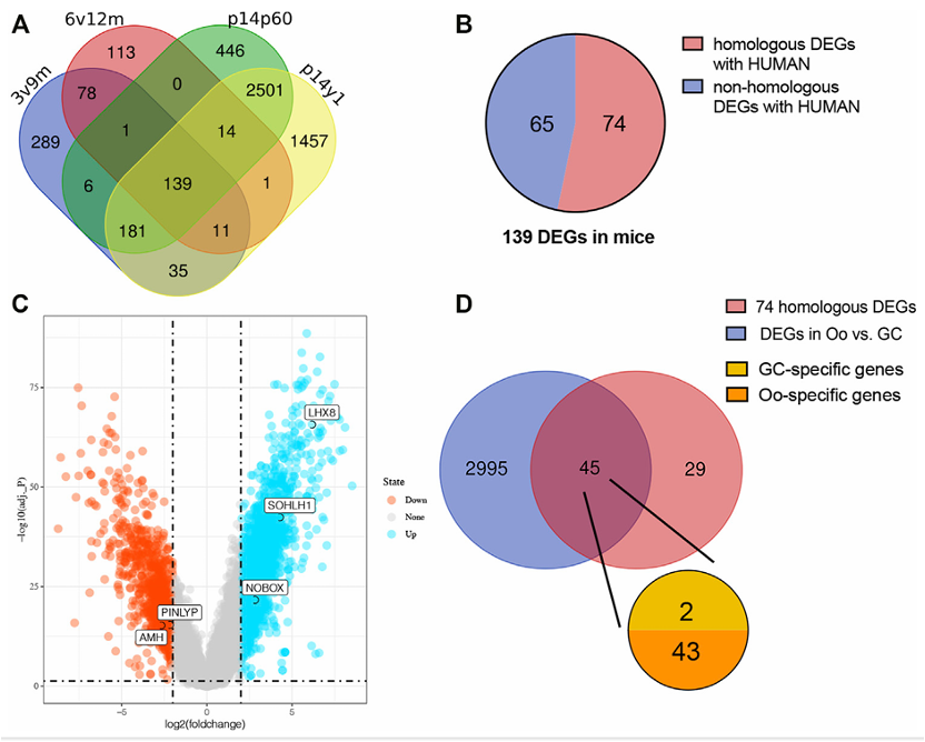 1745826742355172.png 33.png