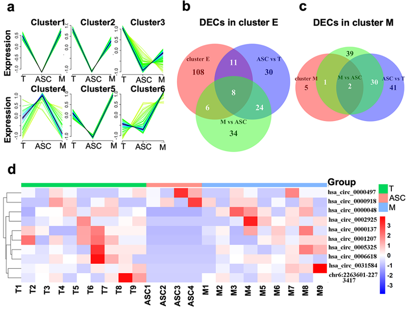 1745827657125780.png 2.png