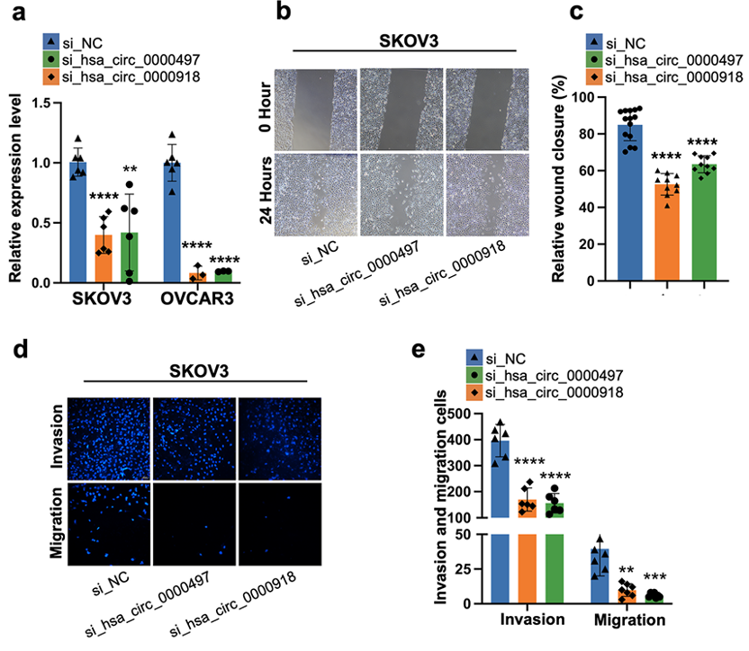 1745827686433998.png 3.png