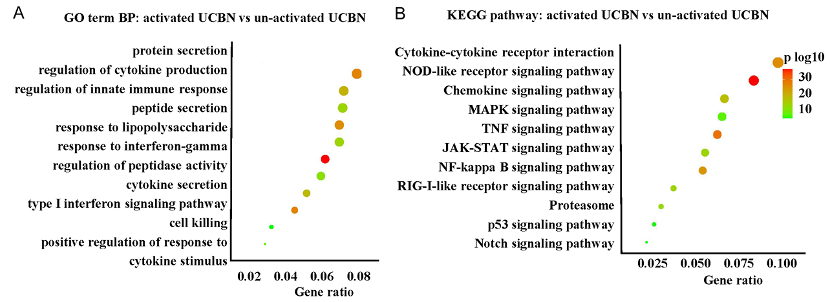 1745829834152828.png 33.png