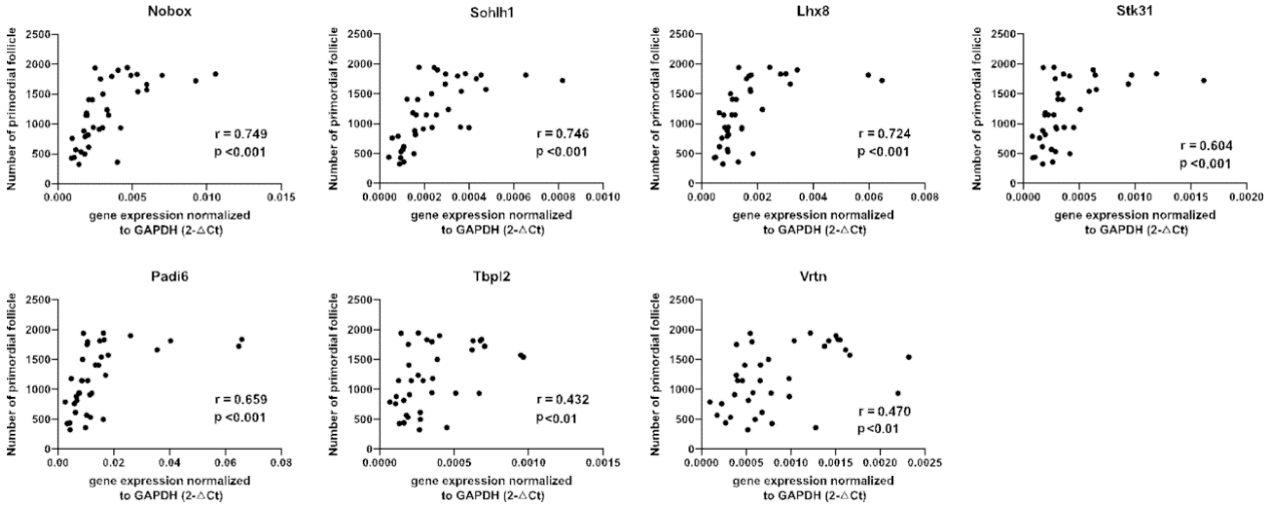 1745980731208885.png 1图片 1.png