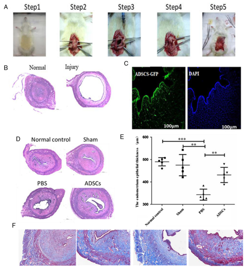 1745981198211695.png 1.png