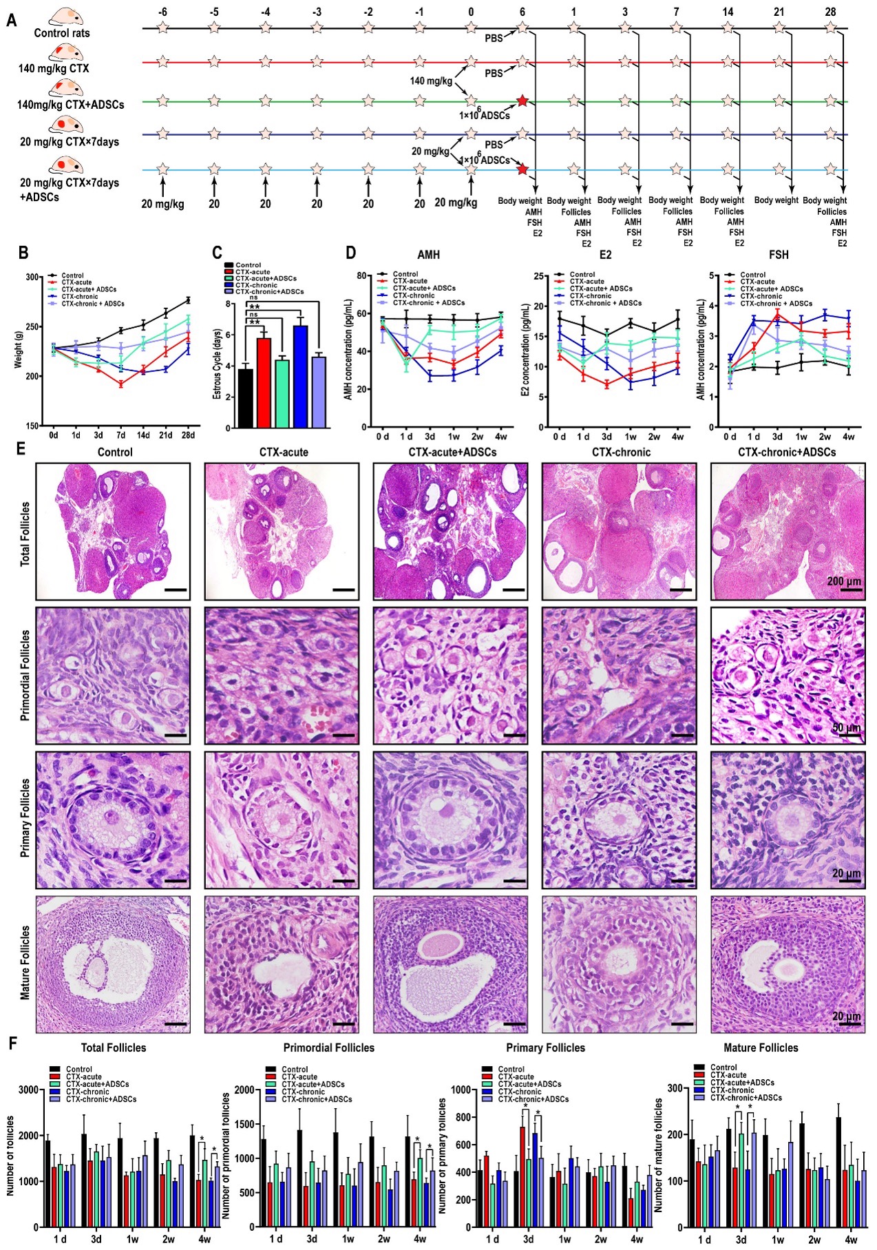 1745981352156442.jpg 2图片 1.jpg